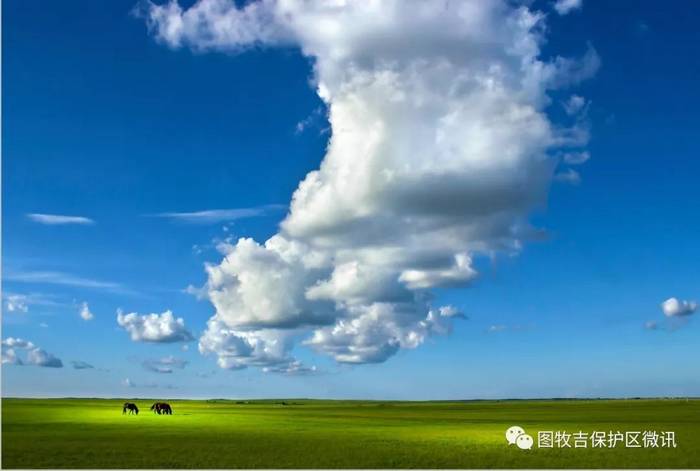 图牧吉国家级自然保护区