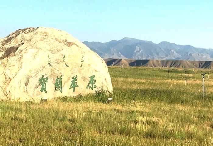 贺兰草原