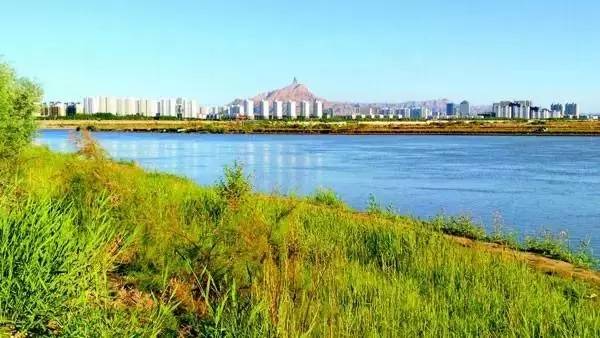 巴音陶亥镇黄河湿地 巴音陶亥镇黄河湿地