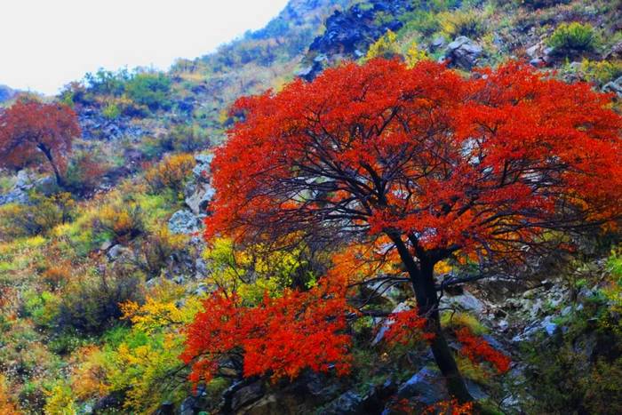 马鞍山生态旅游区