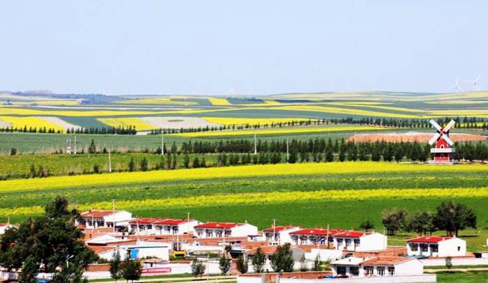 兴顺西镇油菜花海