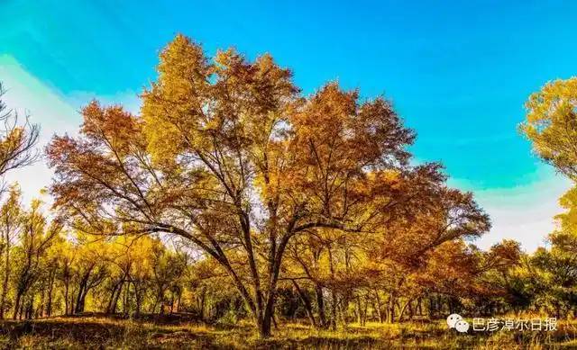 河套国家森林公园