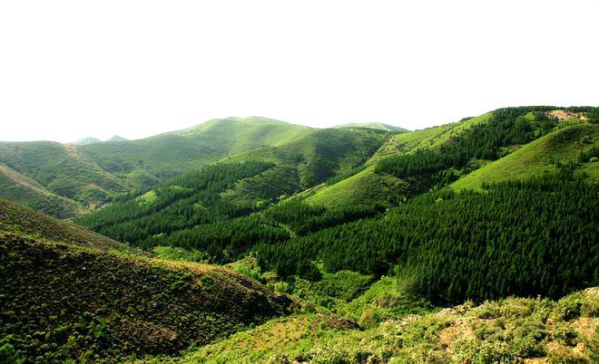 小五家乡静安山
