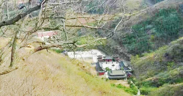 青龙寺
