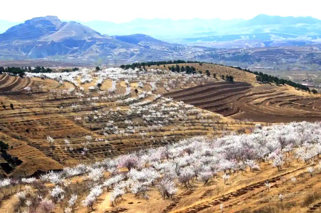 土城子乡九道岭