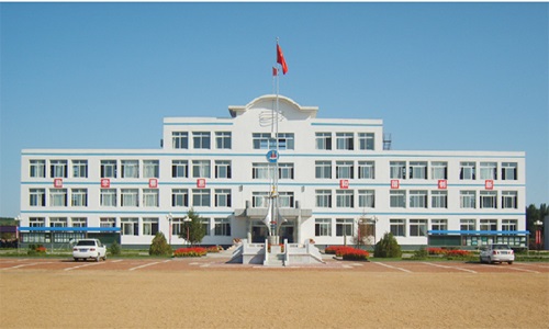 扣河子镇政府广场