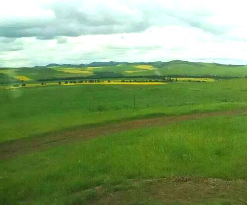吐列毛杜农场二队草原
