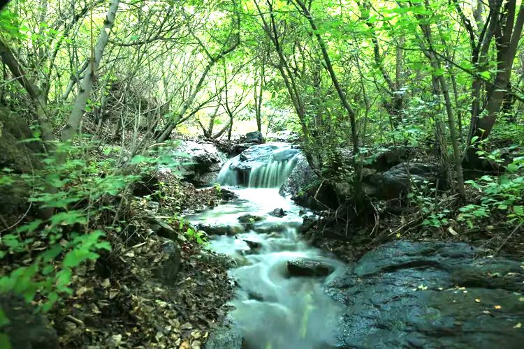蒙格罕山生态旅游区
