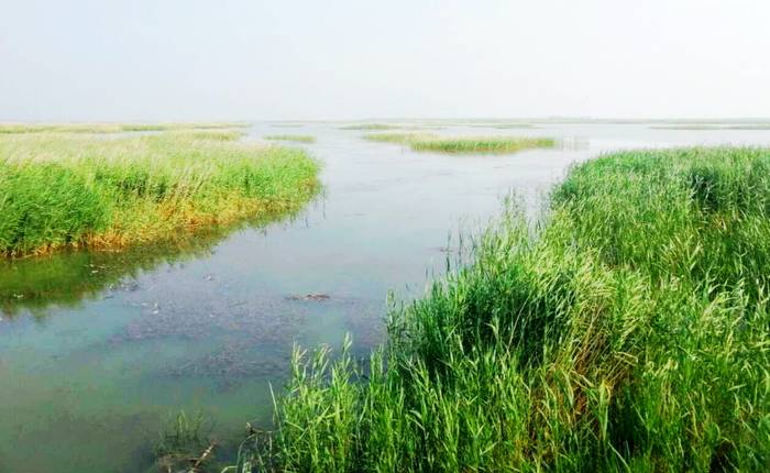 巴彦茫哈苏木沙岛湖生态旅游景区