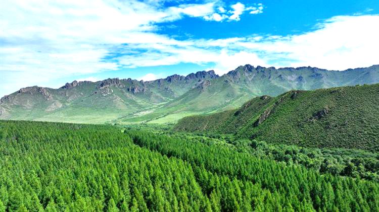 赛罕乌拉国家级自然保护区