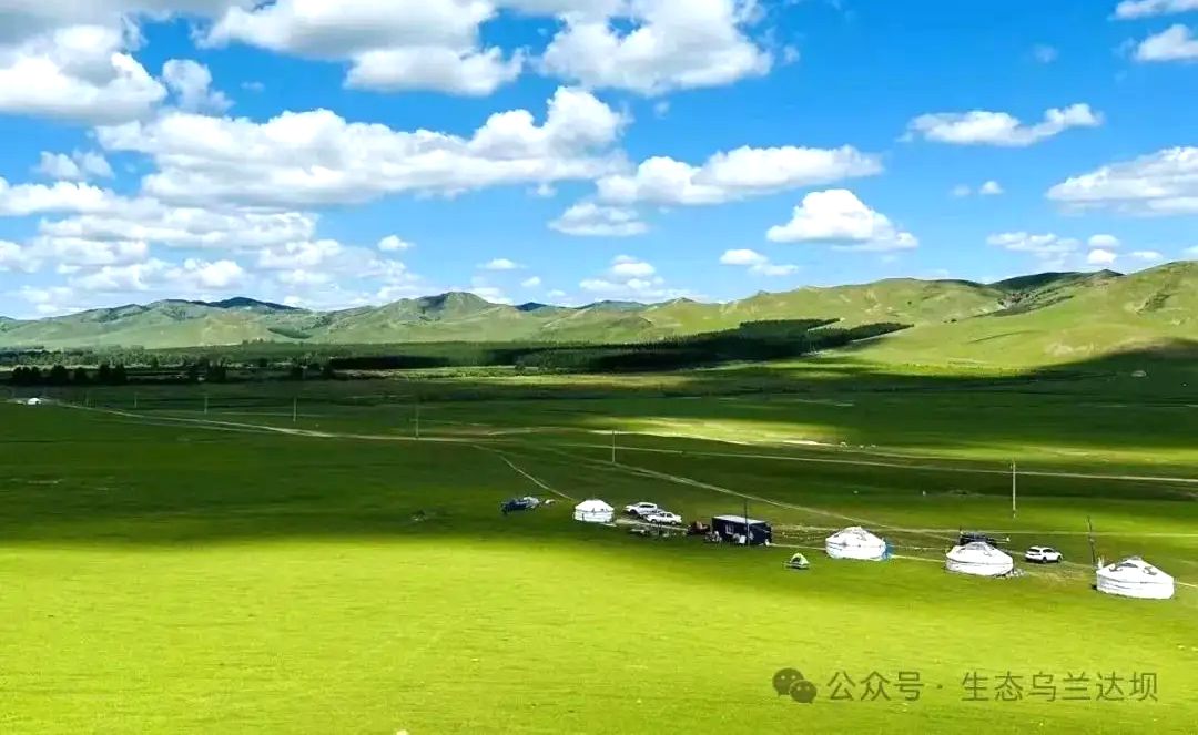 乌兰达坝苏木哈布其拉草原