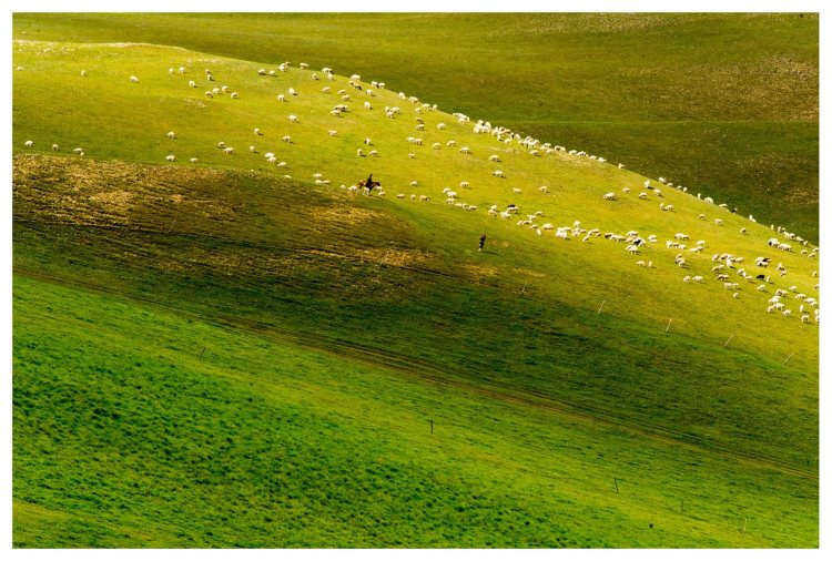 美丽的乌兰达坝草原