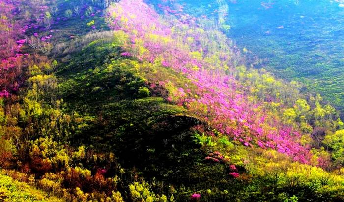 碧流台镇大良沟