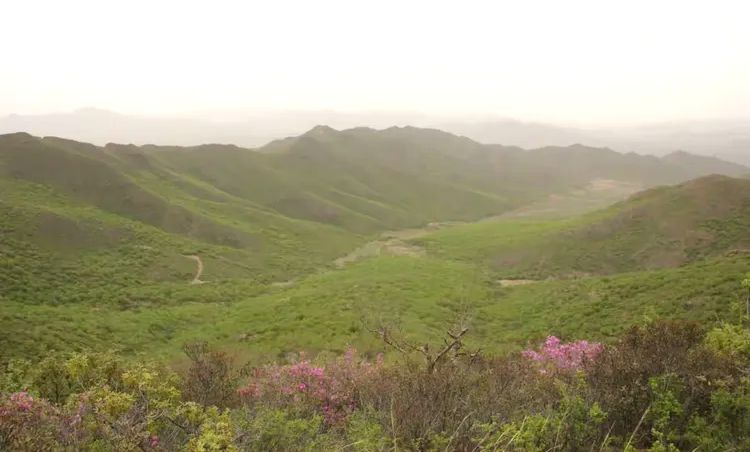 碧流台镇东方红村大良沟观光旅游区