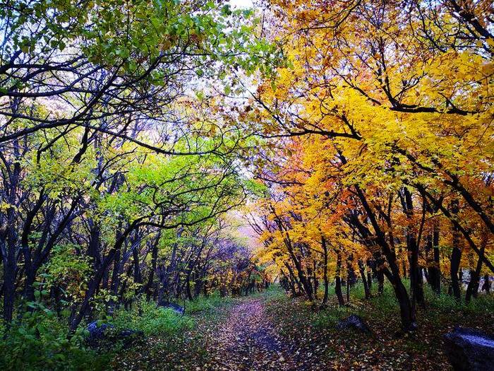 老爷洞沟风景区