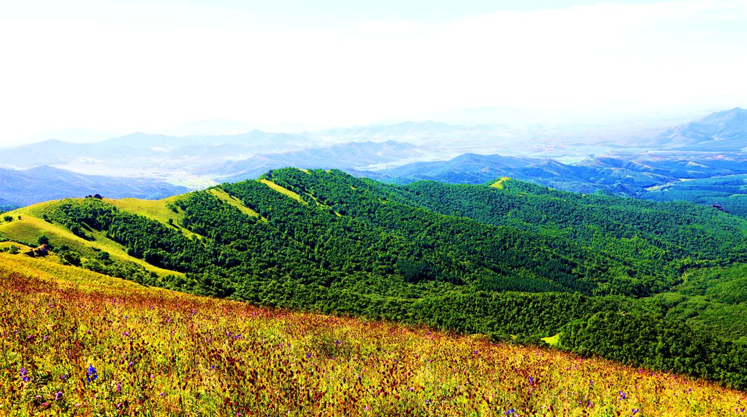 乌兰坝森林旅游区