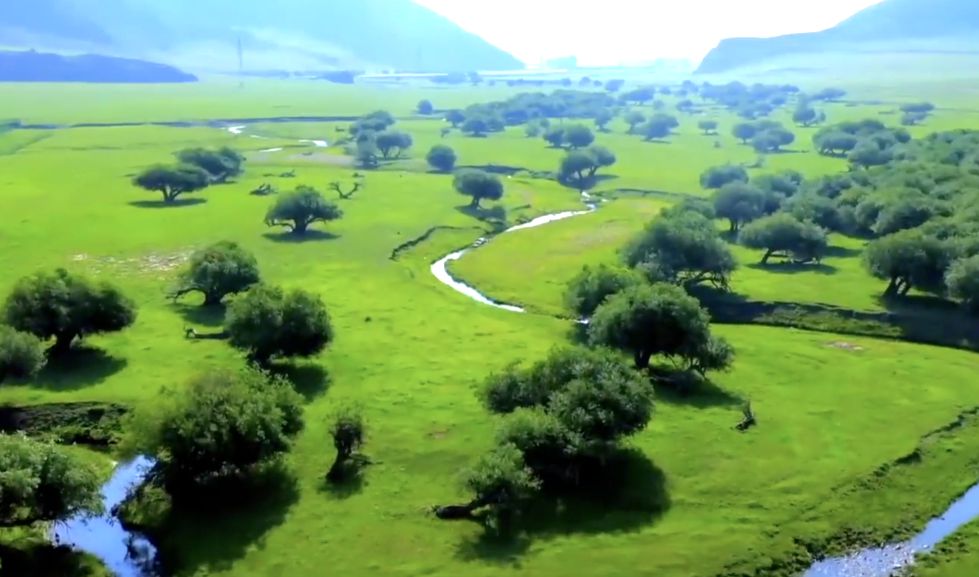 乌力吉沐沦河国家湿地公园