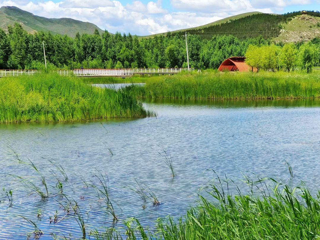 乌力吉沐沦河国家湿地公园