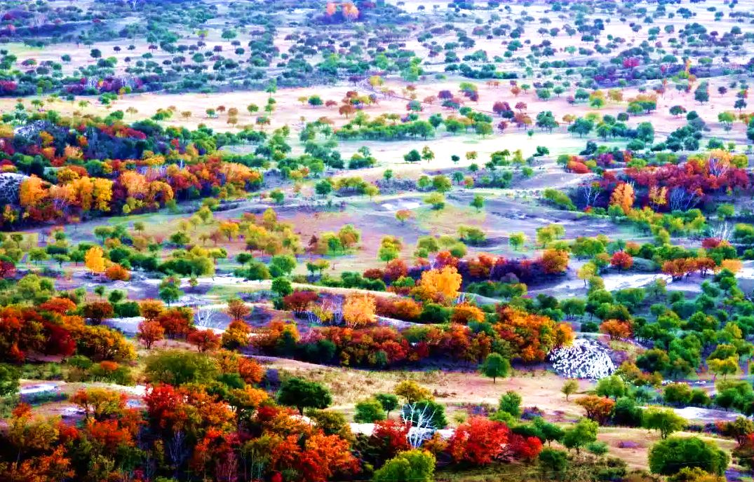 浑善达克沙地 浑善达克沙地