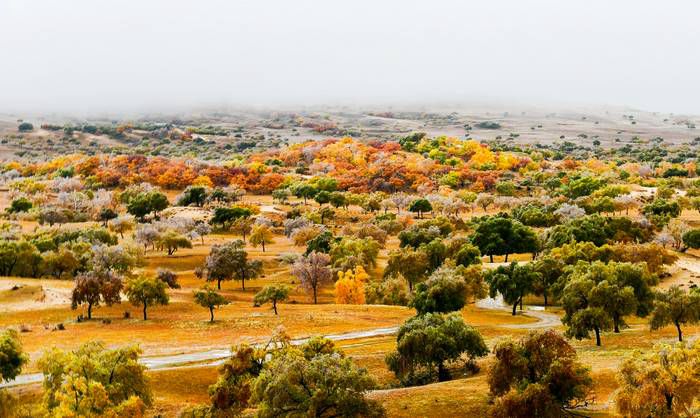 桦木沟国家森林公园