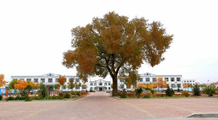 敖润苏莫苏木政府