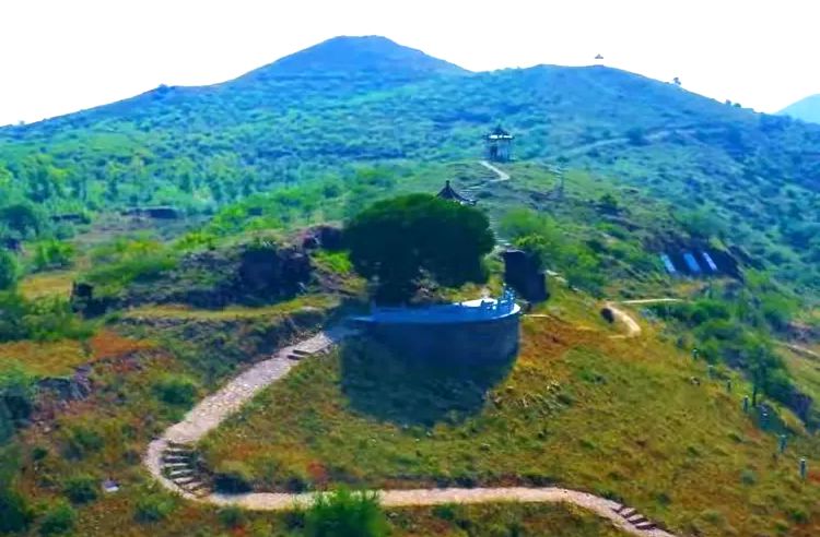 古老神桑树 古老神桑树