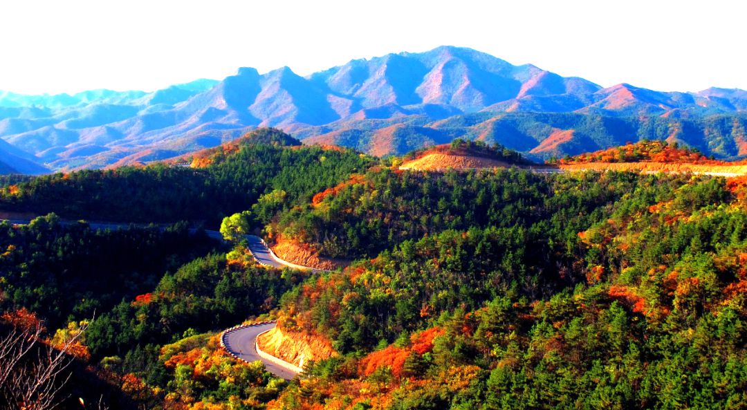 大黑山自然保护区