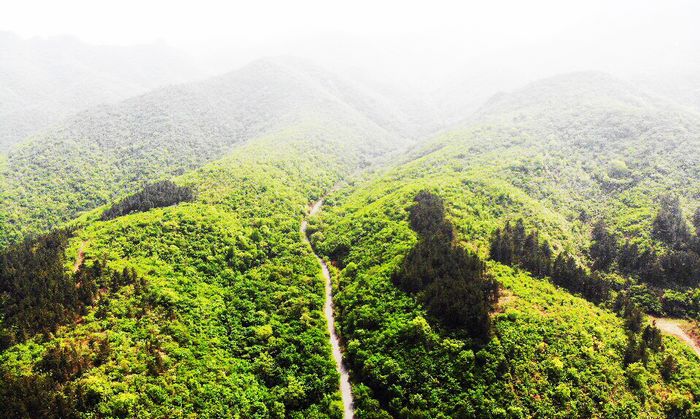 大黑山国家级自然保护区