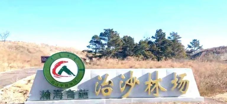 敖汉旗治沙林场