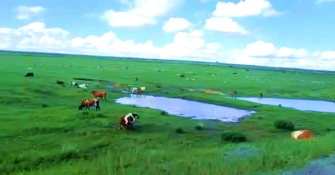 石宝镇草原美景 石宝镇草原美景