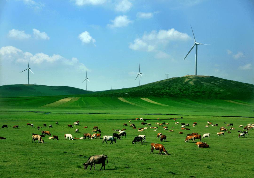 希拉穆仁草原 希拉穆仁草原