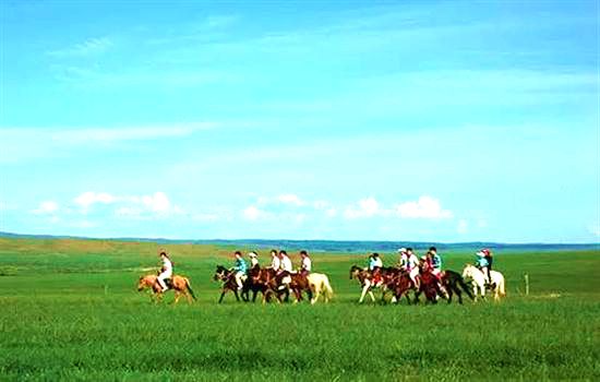巴音敖包草原 巴音敖包草原