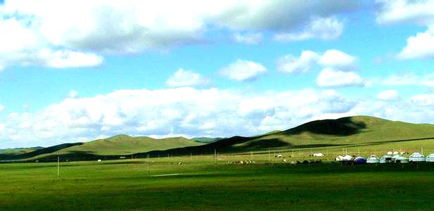 腾格淖尔自然保护区