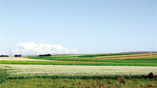 小文公乡美景 小文公乡美景