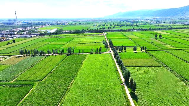 卜尔汉图镇美景 卜尔汉图镇美景