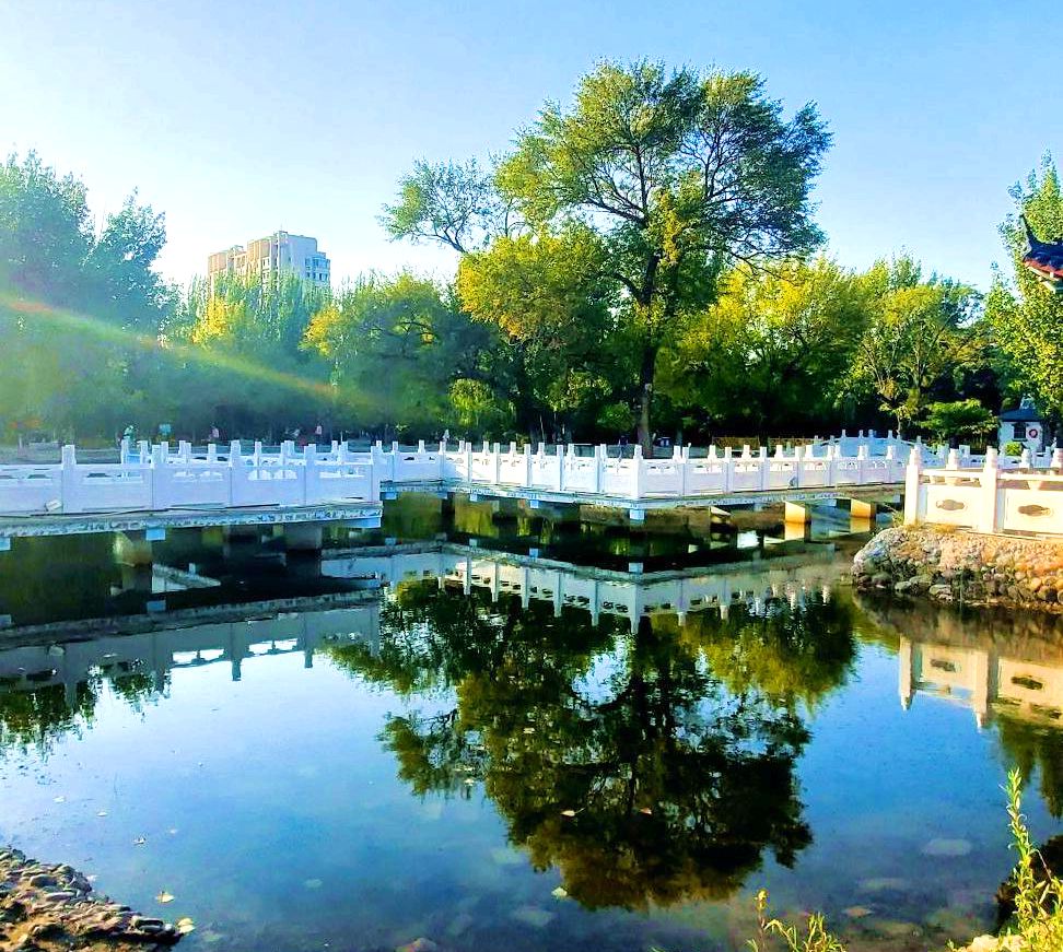 八一公园 八一公园