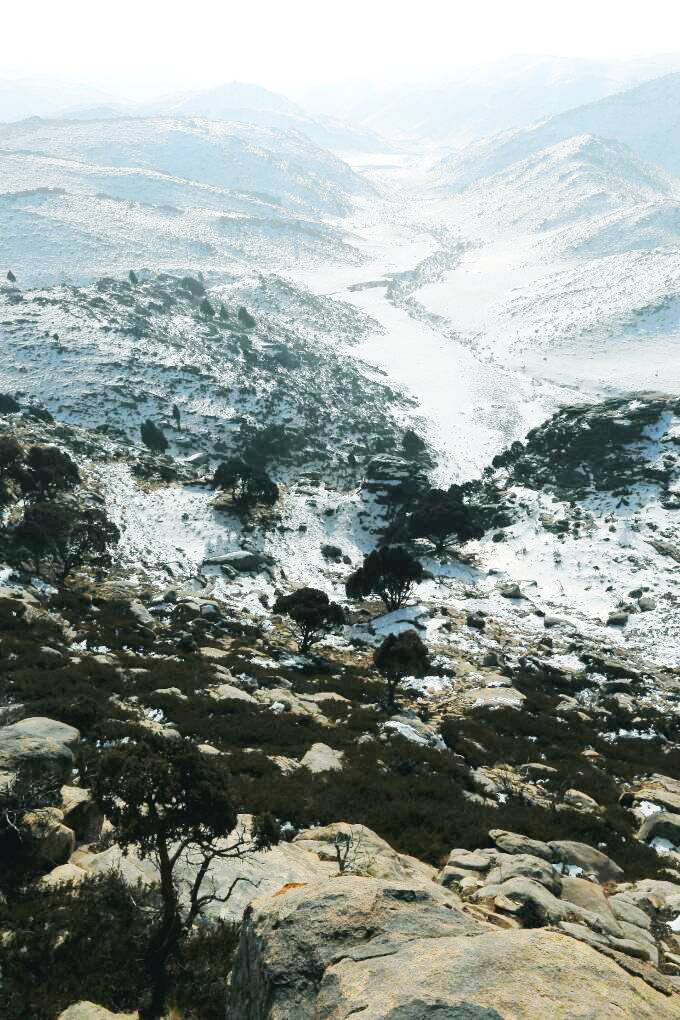阿尔其山叉枝圆柏自治区级自然保护区
