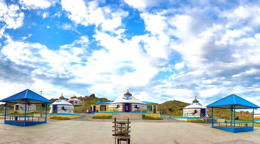 腾克隆专业合作社