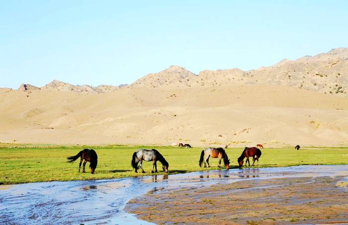 呼勒斯太苏木二狼山水库 呼勒斯太苏木二狼山水库