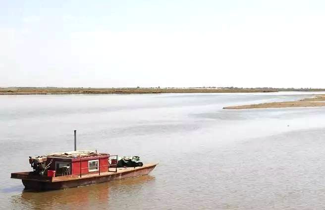 套海镇黄河景观