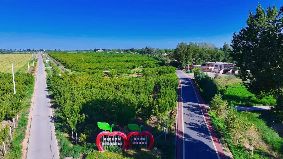 塔尔湖镇联丰村采摘园 塔尔湖镇联丰村采摘园