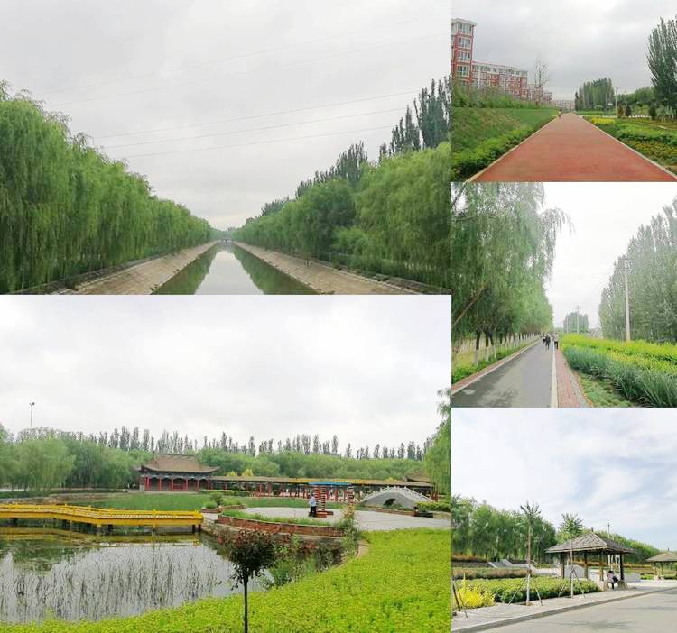 隆兴昌镇义和渠带状公园