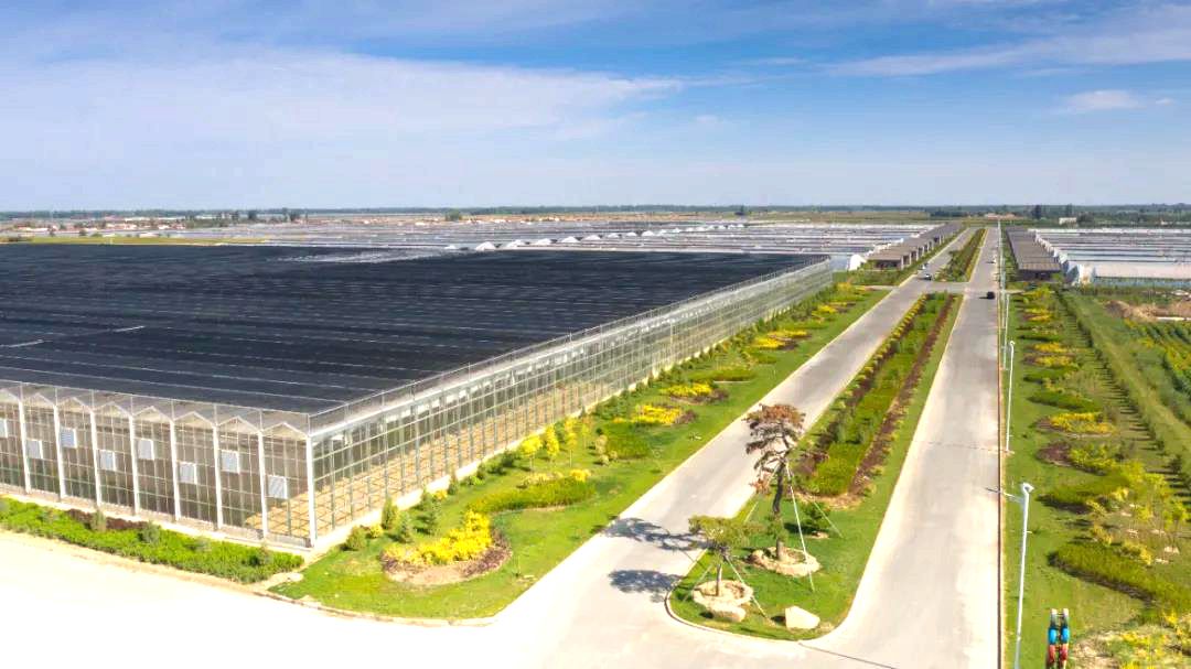 乌兰图克镇鲜农现代农业园