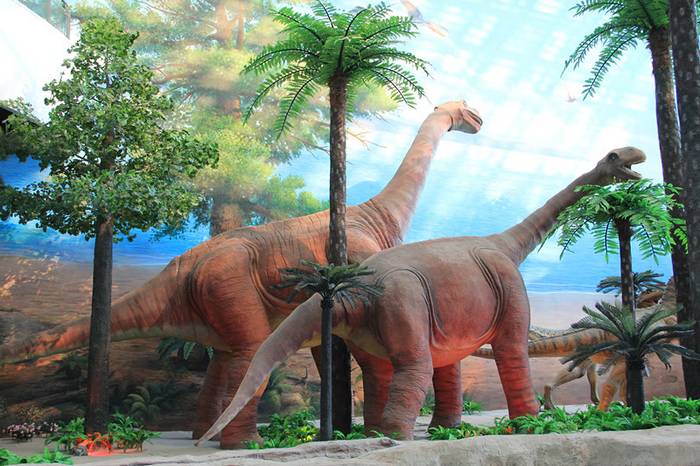 鄂托克旗综合地质博物馆内恐龙复原实景