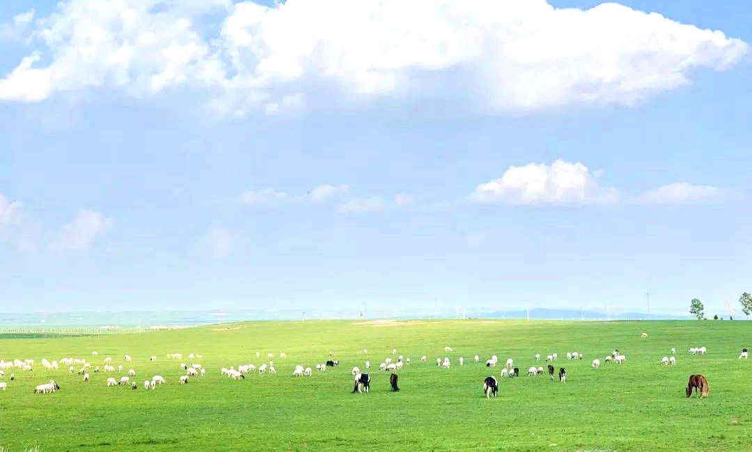 阿尔巴斯草原 阿尔巴斯草原