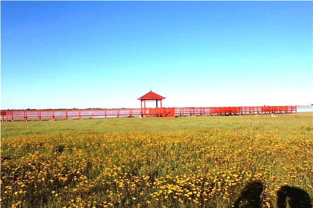 嘎鲁图镇布寨淖风情体验区