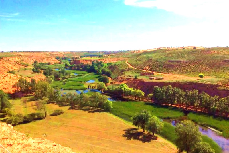 朝岱万亩农旅融合体验基地