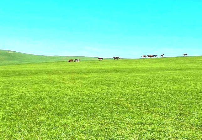 展旦召草原 展旦召草原