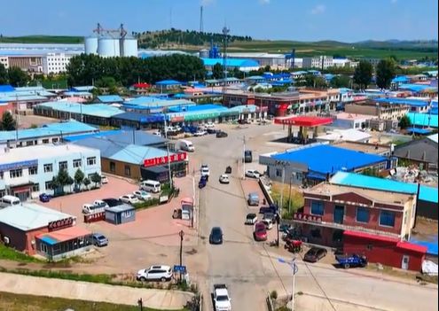 东杜尔基镇全景图