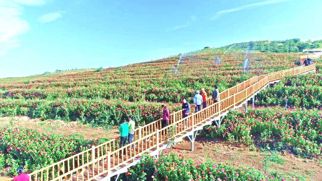 俄体镇兴安村“林果+生态+旅游”产业融合发展新业态